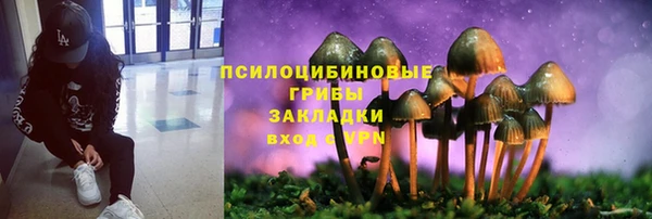 ALPHA PVP Белокуриха