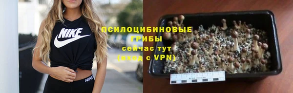 ALPHA PVP Белокуриха