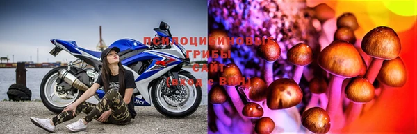 2c-b Белоозёрский