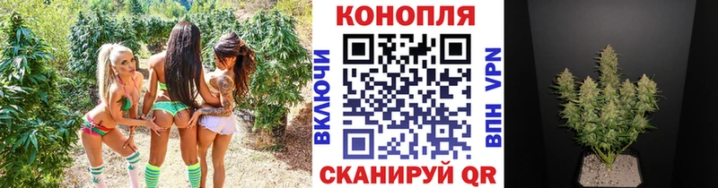 Конопля план  Красноуральск 